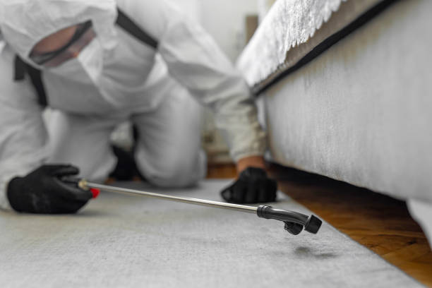 Professional Cockroach Control technician working in Salida, CA